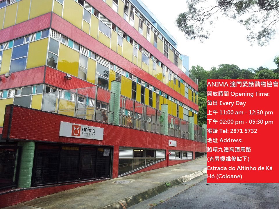 553681_10152274508460402_1817279182_n